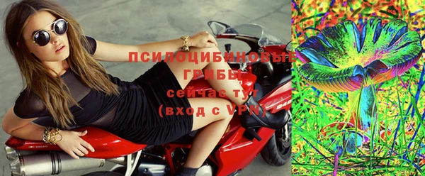 дживик Мегион