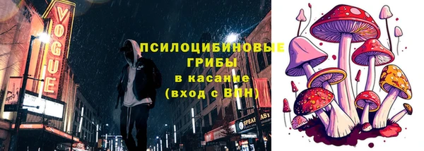 бошки Абинск