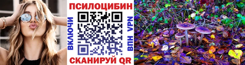 Галлюциногенные грибы прущие грибы  закладка  маркетплейс наркотические препараты  Сальск 