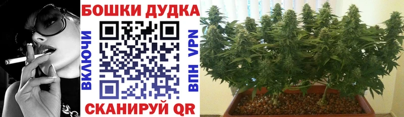 МАРИХУАНА THC 21% где купить Сальск